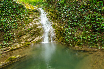 Waterfall on the river in nature in summer
