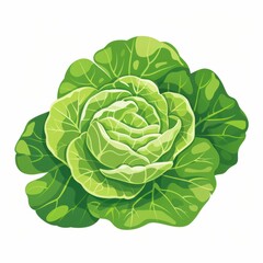 Fototapeta premium Fresh Lettuce Group Vector Icon Illustration for Website Design on White Background