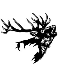 Elk Deer | Deer Hunting | Hunter | Outdoor Hunting | Camp Life | Antler | Adventure | Original Illustration | Vector and Clipart | Cutfifle and Stencil