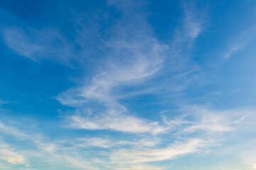 Fototapeta premium 薄雲の夕空