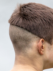 Men's cap haircut. Back view