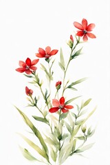 Minimalist Watercolor Red Wildflowers
