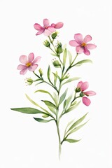 Minimalist Watercolor Pink Wildflowers