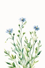 Obraz premium Minimalist Watercolor Blue Wildflowers