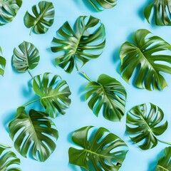 Monstera, shot from above, making a fun pattern on a light blue pastel color background, magazine cover photo