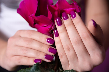 Beautiful purple manicure on young female hands with a flower in the background in a studio. Concept of femininity and manicure