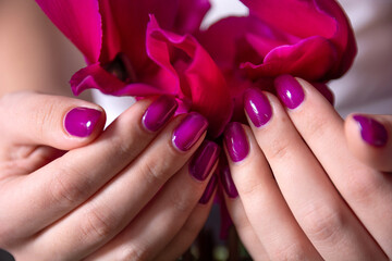 Close-up of female fingers with purple nail polish and a flower in the background. Concept of manicure and feminine beauty