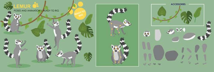 Lemur, animation character in layers ready to animate with poses and accessories. Cute wildlife, animal, rig ready jungle creatures.  © Louise