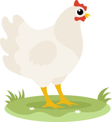 Farm Animals. A white chicken stands on the grass on a white background. Baby flat vector illustration.