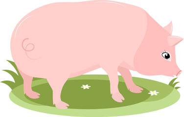 Farm Animals. Fat pig on green grass on white background Baby flat vector illustration.