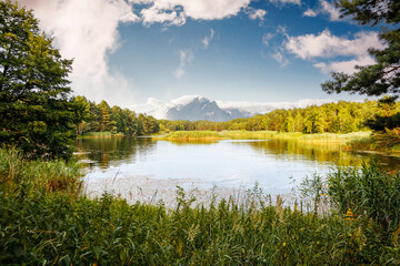 A calm and quiet lake on a sunny day is surrounded by a forest. Creative collage.