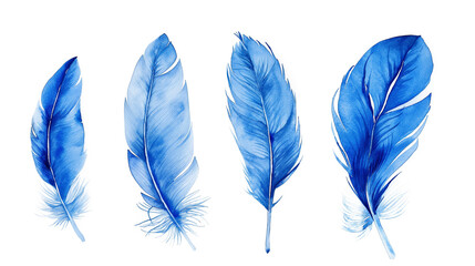 A blue feather with a white background