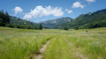 Obraz premium Green Grass Field with Dirt Road Leading to Hills