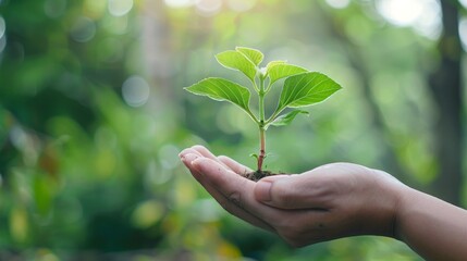 Sustainable living is a journey towards resilience, where small changes yield significant impacts.
