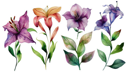  Flowers with green leaves are painted in watercolor isolated on a transparent background