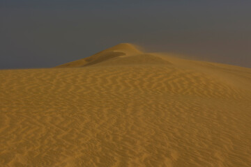 beautiful sand dunes in the desert