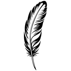 cartoon feather monochrome outline drawing, realistic tattoo painting on transparent background © Сергей Тарасюк