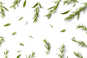 Obraz premium Rosemary Sprigs Pattern on Transparent Background