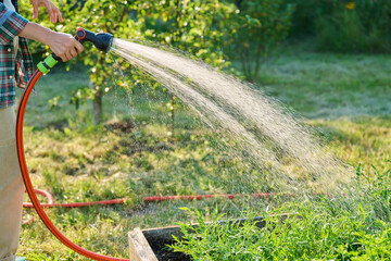 Naklejka premium Close up of hand with hose watering green herbs plants on raised garden bed