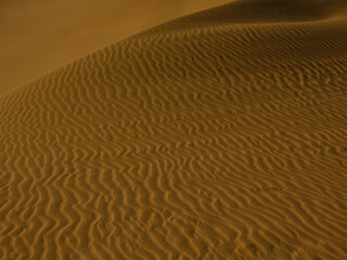 desert landscape in summer heat