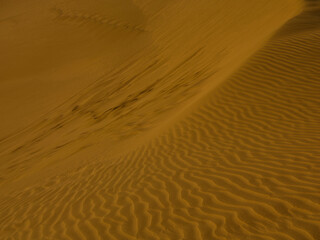 desert landscape in summer heat