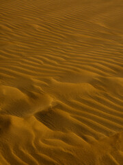 desert landscape in summer heat