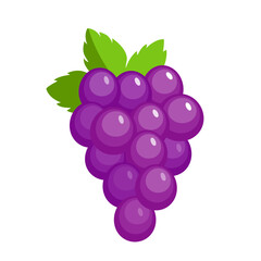 Vector red grape icon, illustration of purple grape in flat cartoon style