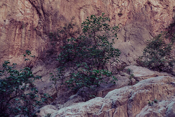 views of geological natural layers inside canyon in Turkey Saklikent National park