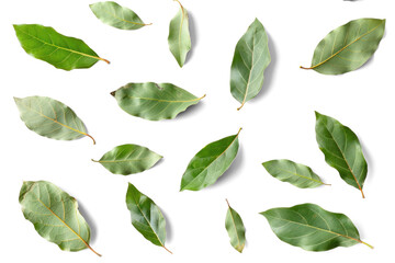 Fototapeta premium Scattered Green Leaves on Transparent Background