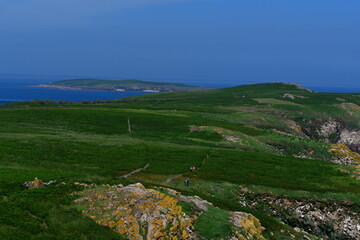 View of Great Saltee Island, Kilmore Quay, Co. Wexford, Ireland