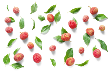 Fresh Lychee and Leaves Pattern on Transparent Background