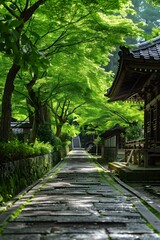 Obraz premium Stone Path in Japanese Garden