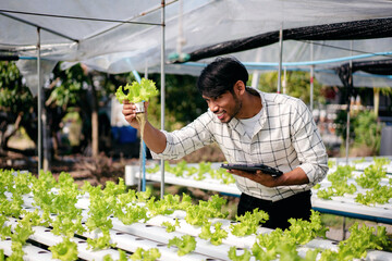 A man is looking at a plant with a tablet in his hand