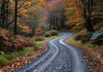 Obraz premium Autumn Road Through Forest