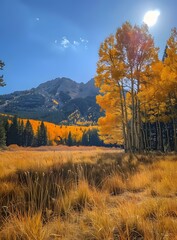 Fototapeta premium The sun shines through the golden trees in the mountains