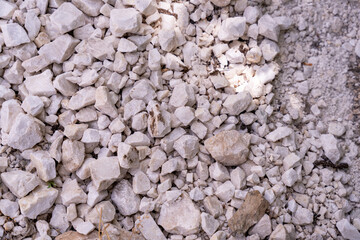 A pile of rocks with a few ants crawling on it