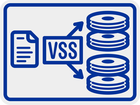 Volume Shadow Copy Service