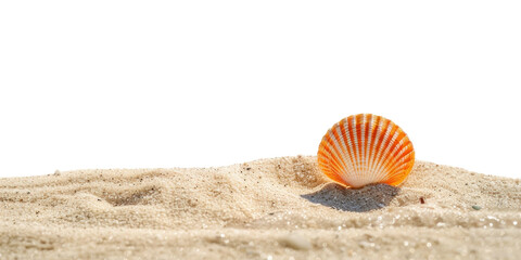 PNG Summer beach background with seashell on the sand 