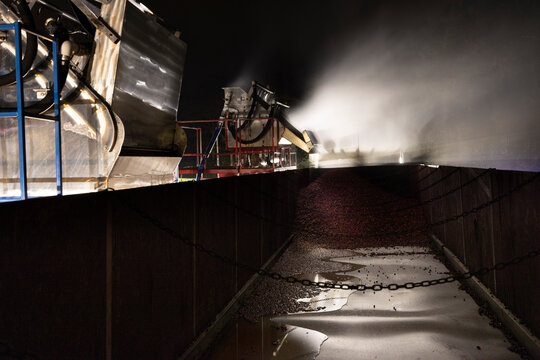 Cranberry truck corralling at night