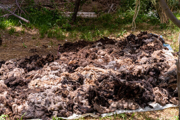 A pile of wool on a blanket