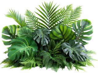 tropical plants including monstera, palm, rubber plant, pine, and fern