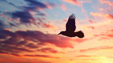 Bird in Silhouette Flying towards Colorful Sunset Sky Banner