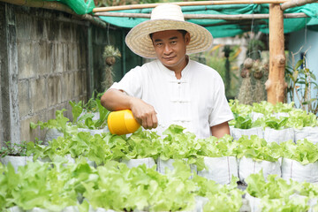 Asian man gardener is taking care organic salad vegetables, grow in sacks in garden, holds spray water can. Concept, agriculture activity. Home grown vegetables. Spend time to relax with green plants.