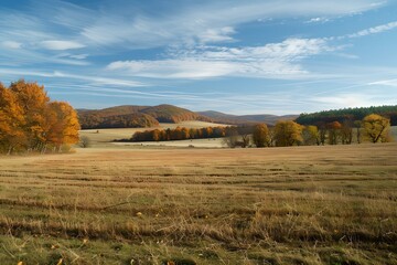 Fototapeta premium Rural autumn landscape with hills and forest
