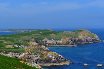 View of Great Saltee Island, Kilmore Quay, Co. Wexford, Ireland