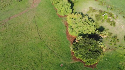 DRONE PHOTOGRAPHY IN OASIS ON THE ROAD FROM OAXACA TO ACAPULCO GUERRERO MEXICO