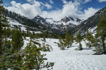 A snowy mountain range with trees and a clear blue sky