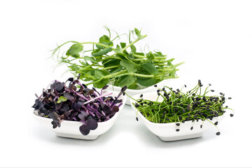 Dreierlei Microgreen in Porzellanschälchen