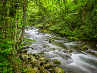 Oconaluftee River along the Newfound Gap Road in the Great Smoky Mountains National Park in North Carolina USA
