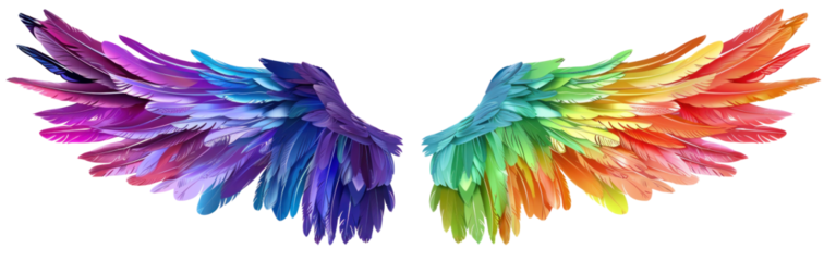 Colorful Rainbow Wings Illustration